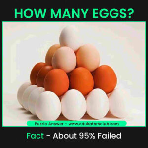 how many eggs puzzle